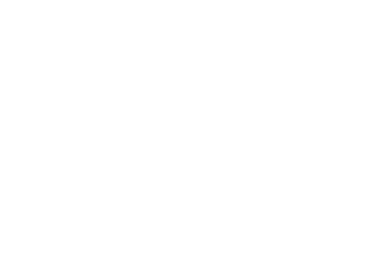 Vortex Optics